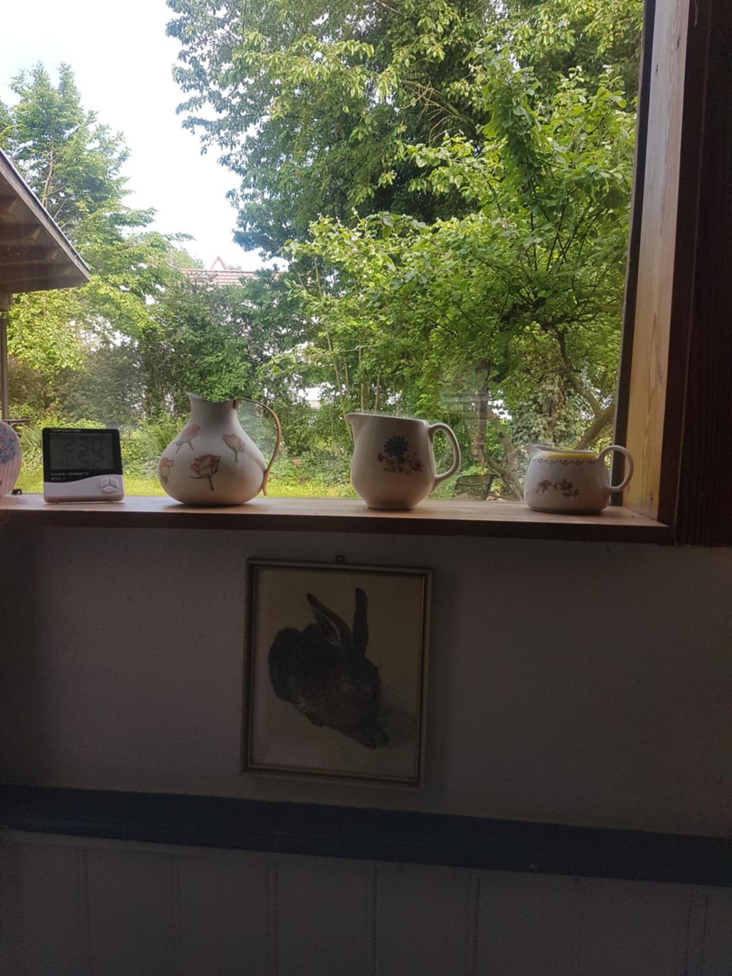 Mitten Im Garten Apartment Friedland (Lower Saxony)